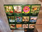 Serie wonderlijke natuur lekturama boeken, Boeken, Ophalen, Gelezen, Natuur algemeen, Lekturama