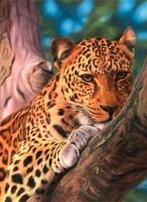 Schilderen op nummer luipaard, *, *, Nieuw, Schilderen op nummer