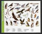 Roofvogels Uilen Buizerd Sperwer Wouw Kerkuil Bosuil Oehoe., Verzamelen, Ansichtkaarten | Dieren, Ongelopen, Vogel, Ophalen of Verzenden