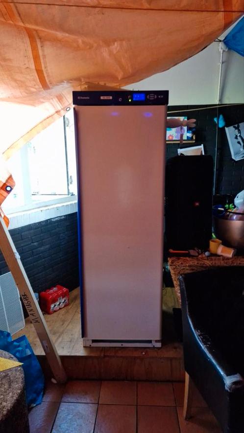 Dometic medische koelkast, Witgoed en Apparatuur, Koelkasten en IJskasten, Zo goed als nieuw, Zonder vriesvak, 200 liter of meer