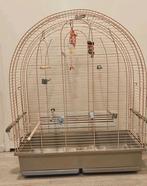 Vogelkooi met toebehoren, Dieren en Toebehoren, Ophalen, Zo goed als nieuw, Metaal, Vogelkooi