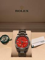Rolex Oyster Perpetual 36mm Coral red discontinued Nieuw, Ophalen, Staal, Polshorloge, Nieuw