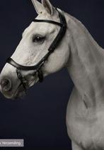 Presteq faysport hoofdstel pony, Dieren en Toebehoren, Paarden en Pony's | Hoofdstellen en Tuigage, Ophalen of Verzenden, Zo goed als nieuw