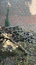 Hout gratis af te halen, Tuin en Terras, Haardhout, Minder dan 3 m³, Ophalen, Overige houtsoorten, Blokken