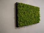 MOSSCHILDERIJ DE GROENE NATUURLIJKE WANDDECORATIE VOOR BINNE, Huis en Inrichting, Woonaccessoires | Schilderijen, Tekeningen en Foto's