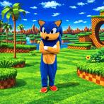 Mascotte Sonic, Ophalen of Verzenden, Zo goed als nieuw, Verjaardag