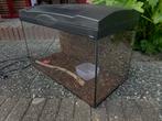 Terrarium, Dieren en Toebehoren, Reptielen en Amfibieën | Toebehoren, Ophalen, Zo goed als nieuw, Terrarium of Paludarium