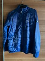 Dames windjack maat 42, Kleding | Dames, Jassen | Zomer, Regatta, Paars, Maat 42/44 (L), Ophalen of Verzenden