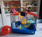 Complete hamsterkooi, Dieren en Toebehoren, Knaagdieren en Konijnen | Hokken en Kooien, Ophalen, Minder dan 75 cm, Kooi, Minder dan 60 cm