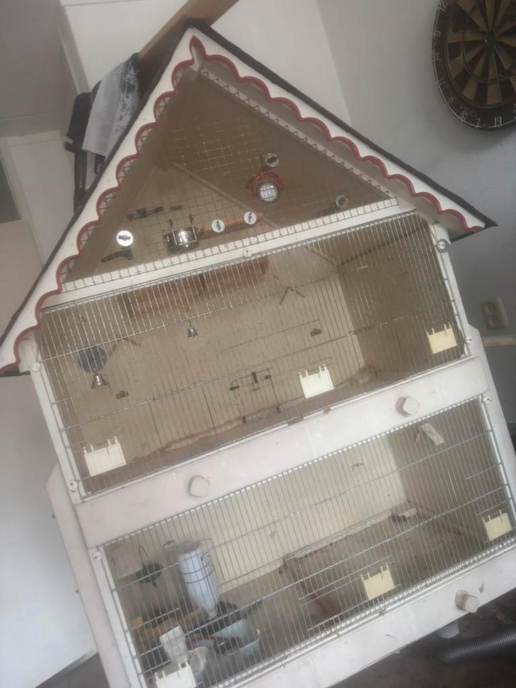 Mooie ruime  voiliete / kweek. Voilere. Met 2 aparte hokken, Dieren en Toebehoren, Vogels | Hokken en Kooien, Gebruikt, Broedkooi of Kweekkooi