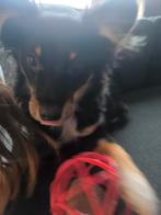 Reu mag weg ivm omstandigheden, Juli, Mannelijk