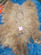 nr 10 Geschoren vacht van een Drents Heideschaap, Ophalen of Verzenden