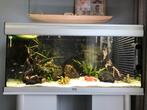 Te koop: Aquatlantis 200 liter aquarium met onderkast, Dieren en Toebehoren, Vissen | Aquaria en Toebehoren, Ophalen of Verzenden