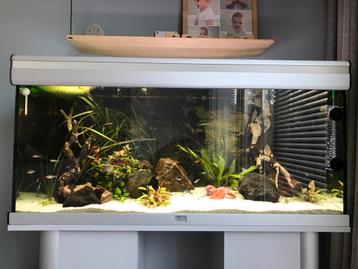 Te koop: Aquatlantis 200 liter aquarium met onderkast beschikbaar voor biedingen