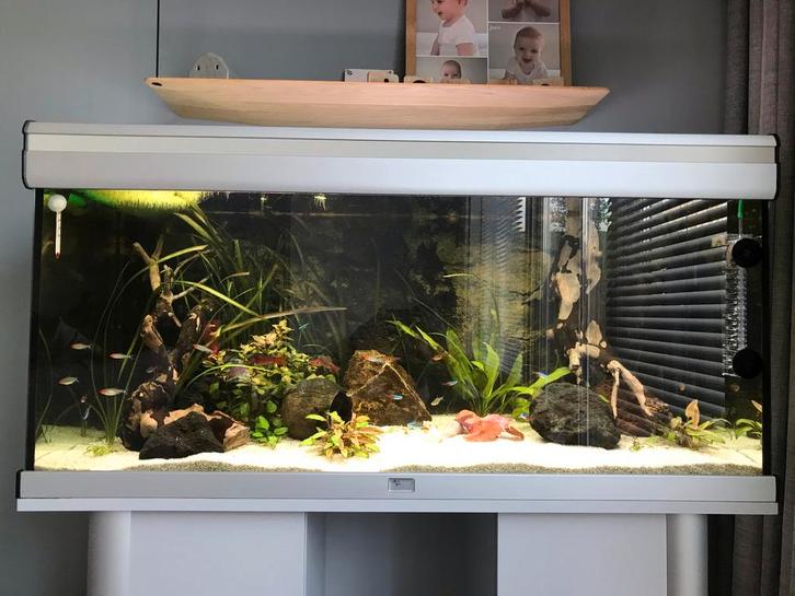 Te koop: Aquatlantis 200 liter aquarium met onderkast, Dieren en Toebehoren, Vissen | Aquaria en Toebehoren, Zo goed als nieuw
