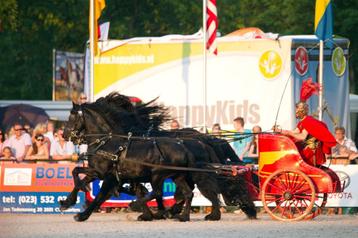 Enkele personen gezocht om ons show team te versterken.