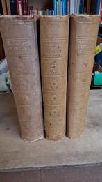 Matthew Henry Nieuwe Testament (3 delen), Ophalen of Verzenden, Gelezen, Matthew Henry, Christendom | Protestants