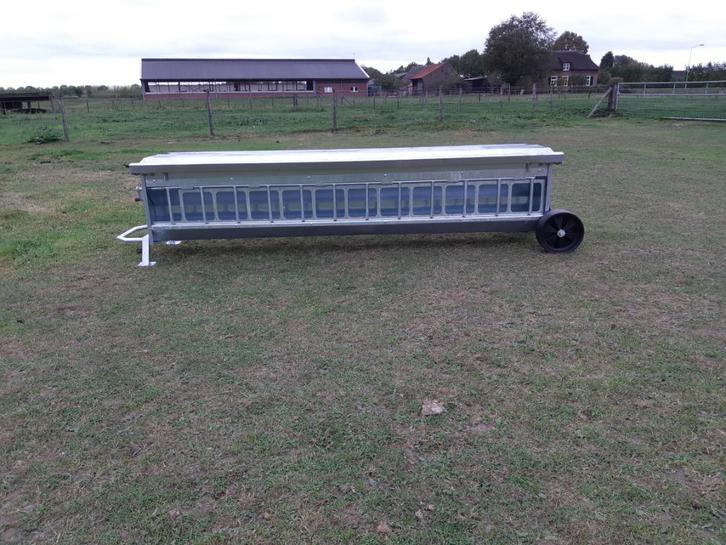 Creepfeeder, Dieren en Toebehoren, Schapen, Geiten en Varkens, Schaap, Meerdere dieren