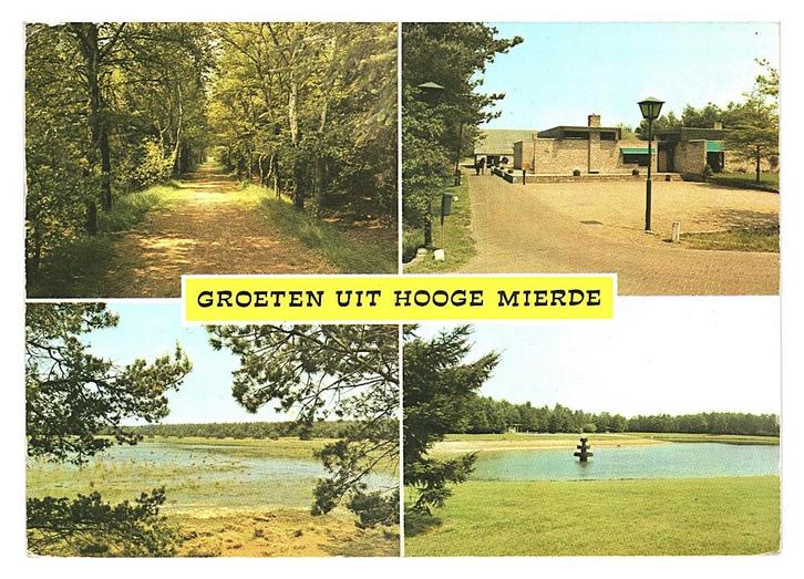 37288	Hooge Mierde	N Br 1979 Gel in 81 Zwartven	 _Gelopen me, Verzamelen, Ansichtkaarten | Nederland, Gelopen, Noord-Brabant, 1960 tot 1980