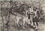 Wanroy Recr. Centrum De Bergen 1968 Dieren-Vogelpark, Verzenden, 1960 tot 1980, Gelopen, Noord-Brabant