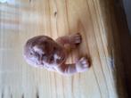 kruipende baby, Verzamelen, Poppenhuizen en Toebehoren, Ophalen, Gebruikt, Popje