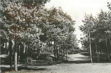 (387-219-039) Ermelo In de Rimboe beschikbaar voor biedingen