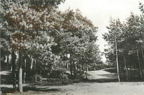 (387-219-039) Ermelo In de Rimboe, Verzamelen, Ansichtkaarten | Nederland, Gelderland, Verzenden