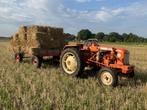 bio tarwe stro, Dieren en Toebehoren, Ophalen, Vee