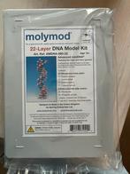 Molymod DNA Model - 22 Laags, 44cm (nieuw in verpakking), Ophalen of Verzenden, Nieuw