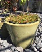 grote limegroen geglazuurde terracotta bloempotten bakken, Tuin en Terras, Bloempotten, 40 cm of meer, Rond, Zo goed als nieuw