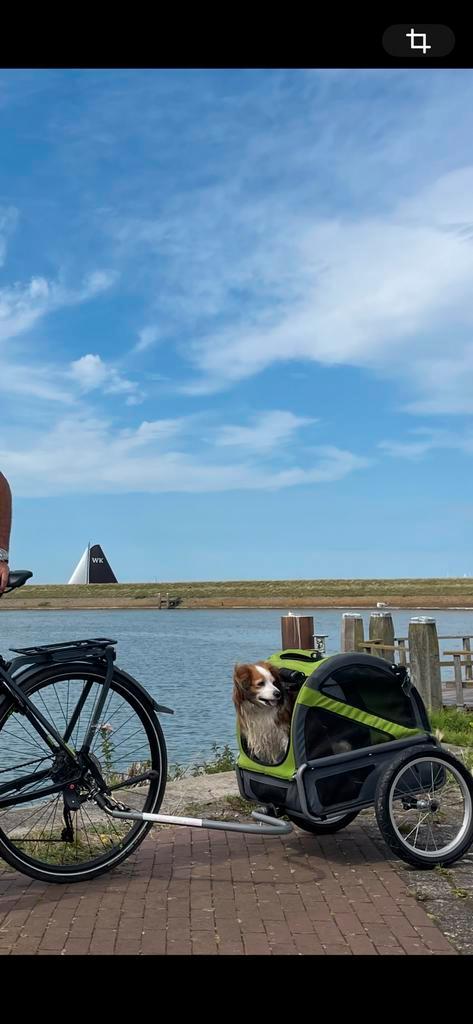 DoggyRide Mini 20 Hondenkar met Bevestiging 16" - Gr/Zw Mini, Dieren en Toebehoren, Honden-accessoires, Gebruikt, Ophalen of Verzenden