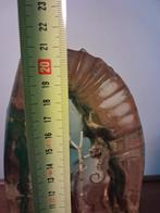 Vintage stuk lucite, Huis en Inrichting, Ophalen of Verzenden, ., ., .