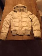 Organelle Mocsow Bomber  jack. Maat XS., Kleding | Dames, Ophalen of Verzenden, Zo goed als nieuw, Maat 34 (XS) of kleiner, Beige