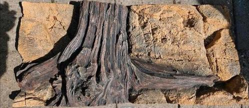 Realistische 3d achterwand., Dieren en Toebehoren, Reptielen en Amfibieën | Toebehoren, Nieuw, Overige typen, Ophalen of Verzenden