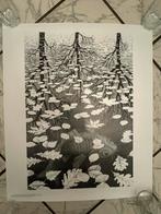 Fraaie poster M.C. Escher - Drie Werelden, Verzamelen, Posters, Rechthoekig Staand, Deurposter of groter, Ophalen of Verzenden