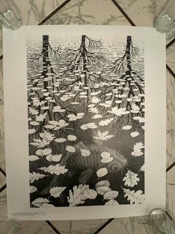 Fraaie poster M.C. Escher - Drie Werelden beschikbaar voor biedingen