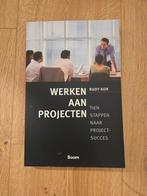 Werken aan Projecten - Rudy Kor, Ophalen of Verzenden