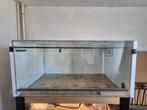 Groot terrarium, Dieren en Toebehoren, Reptielen en Amfibieën | Toebehoren, Ophalen, Gebruikt, Terrarium of Paludarium