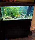 Juwel Aquarium + ingebouwde filtersysteem +onderkast zwart, Dieren en Toebehoren, Zo goed als nieuw, Ophalen