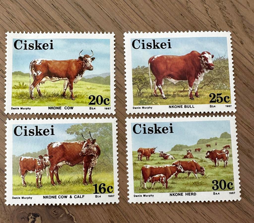 Ciskei 1987 koeien KAN BIEDER EVEN BERICHT STUREN?, Ophalen of Verzenden, Zuid-Afrika, Postfris