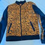 Vest 146 We, Verzenden, Zo goed als nieuw, Meisje, Trui of Vest