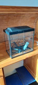 Gratis af te halen aquarium, Ophalen, Zo goed als nieuw, Leeg aquarium