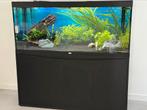 Aquatlantis Volga 450 | 2x Pomp | Smart Led | Co2, Ophalen, Zo goed als nieuw, Gevuld zoetwateraquarium