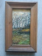 Peter van den Braken (1896-1979) - Landschap met Bomen, Ophalen of Verzenden