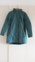 Human Nature - dames jas, Kleding | Dames, Ophalen of Verzenden, Zo goed als nieuw, Maat 46/48 (XL) of groter, Groen