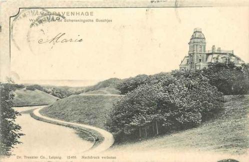 (301-085-031) Den Haag Waterpartij in de Scheveningsche Bosc, Verzamelen, Ansichtkaarten | Nederland, Zuid-Holland, Verzenden