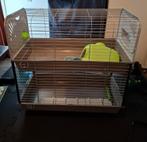 Konijnenhok (binnen), Dieren en Toebehoren, Ophalen, 90 cm of meer, Hok, Minder dan 75 cm