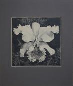 Jan Voerman Jr. litho "Bloem", in passepartout, Antiek en Kunst, Ophalen
