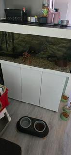 Juwel aquarium met toebehoren, Ophalen, Zo goed als nieuw