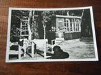 W29 - Ede - 't Hazendal - Boshut - Hond - Mooi/Oud, Ophalen of Verzenden, 1940 tot 1960, Gelopen, Gelderland